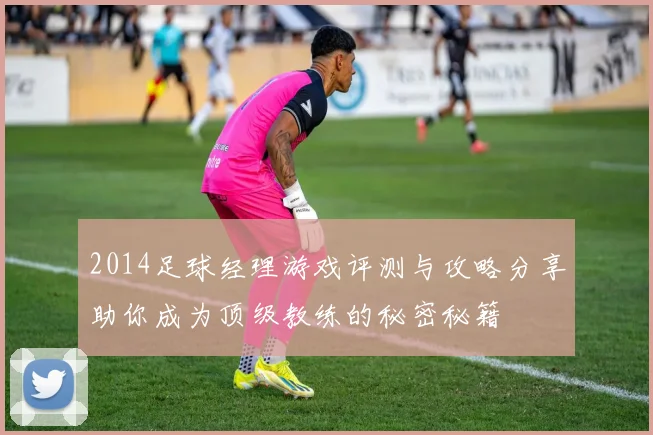 2014足球经理游戏评测与攻略分享助你成为顶级教练的秘密秘籍