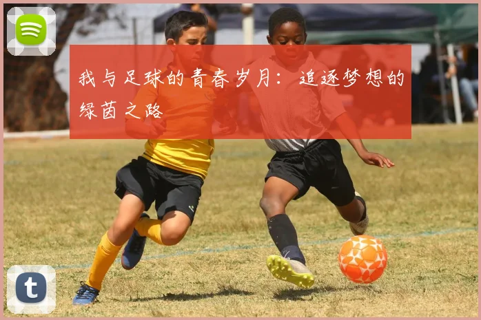 我与足球的青春岁月：追逐梦想的绿茵之路