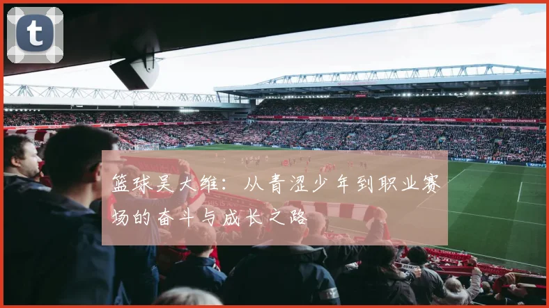 篮球吴大维：从青涩少年到职业赛场的奋斗与成长之路