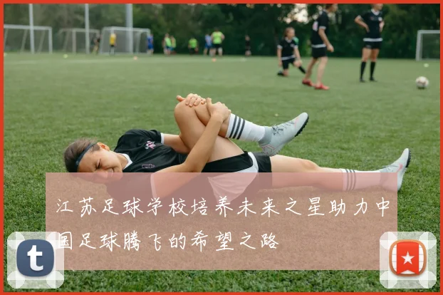 江苏足球学校培养未来之星助力中国足球腾飞的希望之路